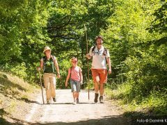 18. AHRTAL SUMMIT FESTIVAL