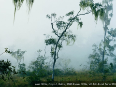 AXEL HÜTTE. SILENT SPACES