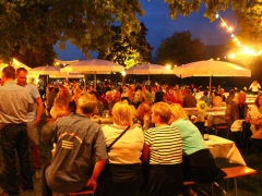 Summer night on the Rhine