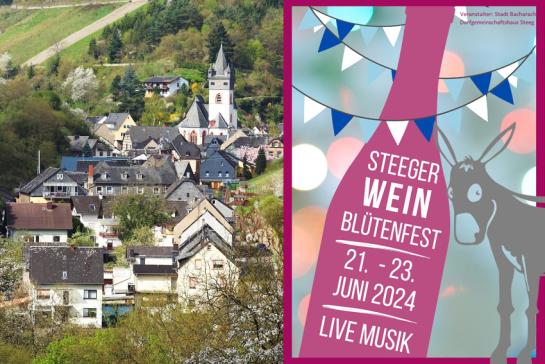 STEEGER WINE BLOSSOM FESTIVAL