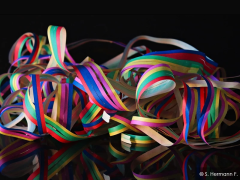 Bingen carnival timetable