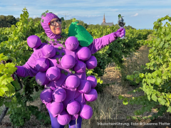 Bingen Wine Festival 2025