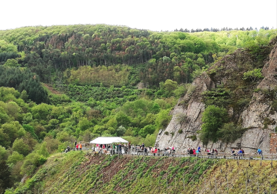 Mittelrheinischer Weinfrühling