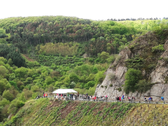 Middle Rhine Wine Spring Festival