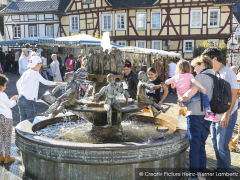 Old town festival in Linz