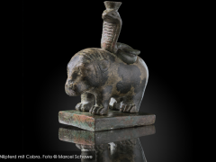 The surgeon of Bingen - The Bingen medical instruments