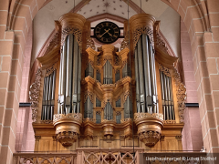Guided organ tour