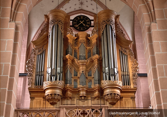 Guided organ tour