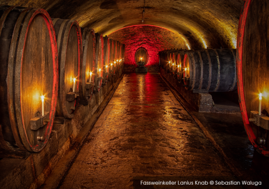 Mit Riesling durch die Unterwelt