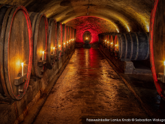 With Riesling through the underworld